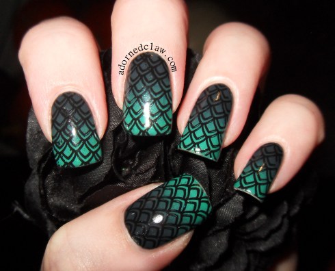 Teal Grey Gradient Scales