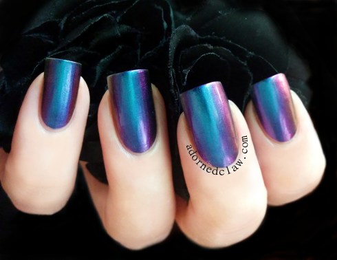 ILNP Birefringence