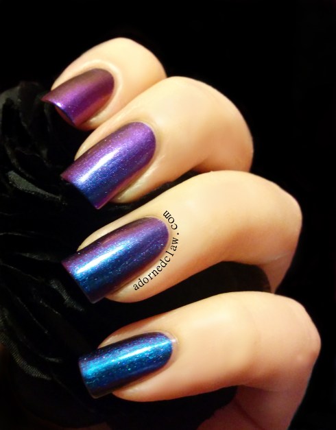 ILNP Birefringence